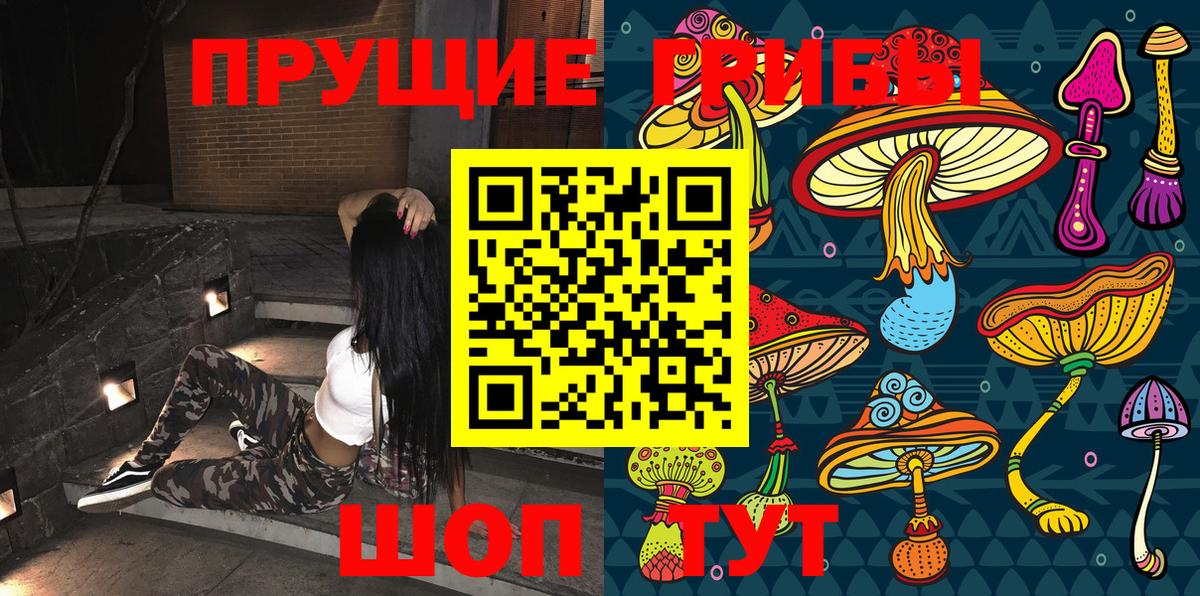 Псилоцибиновые грибы Psilocybe Оренбург