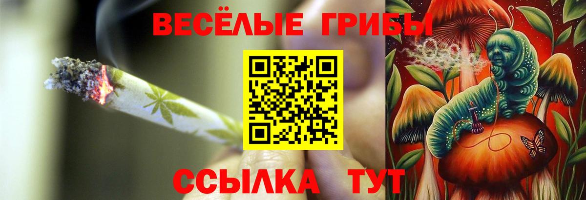 Псилоцибиновые грибы мицелий  Вход с VPN  Оренбург 